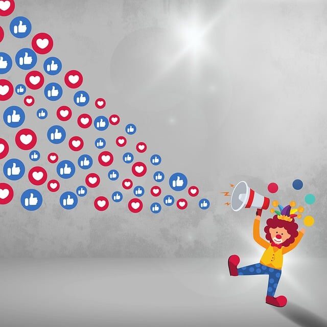 tiktok, influencers, social media